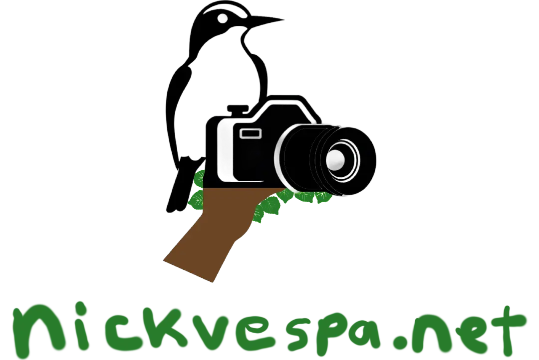 nickvespa.net